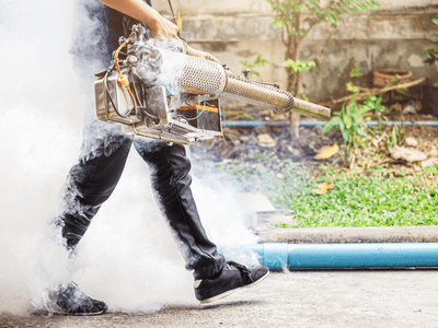 Professional Texas Roach Defense team