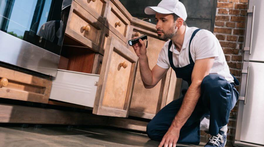 Professional cockroach exterminator services in Dallas